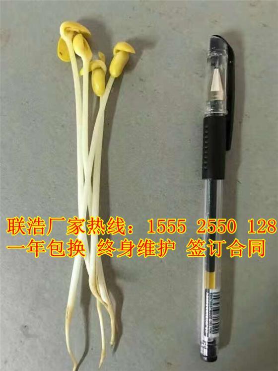 潍坊豆芽机价格/山东豆芽机生产厂家/生豆芽机价格