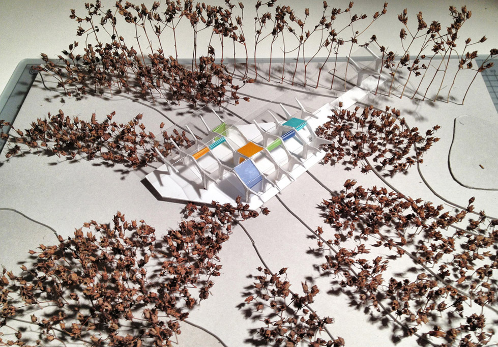 乐鱼网页版登录入口