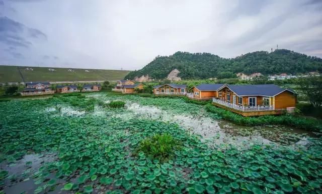 乐鱼网页版登录入口
