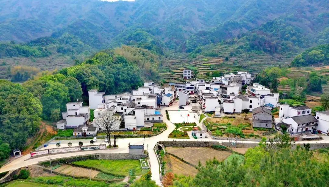乐鱼网页版登录入口